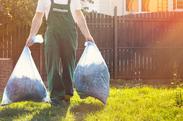 Best Shed Removal  in La Palma, CA